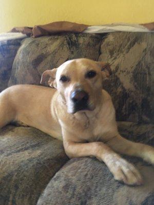 Photo of Gilberto S.