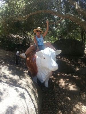 Photo of Amy R.