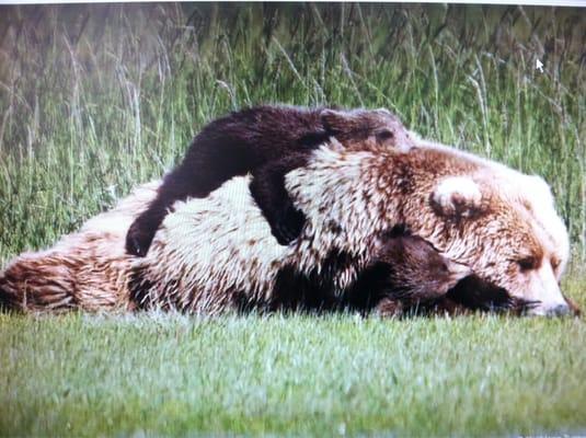 Photo of Courtney M.