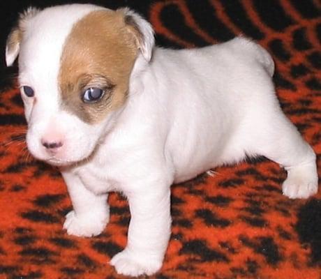 photo of Jeanette M.