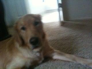 Photo of Nicholas R.