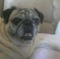 Photo of Debbie B.