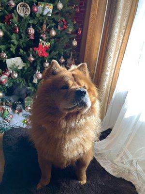 photo of Michelle D.