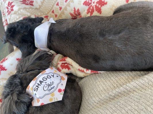 photo of Rose Morrison. NMorrison M.