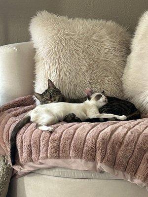 Photo of MaryBeth R.