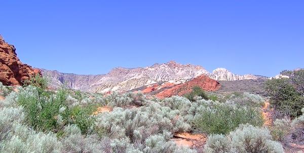 photo of H. C.