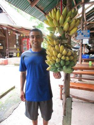 Photo of Nikhil V.