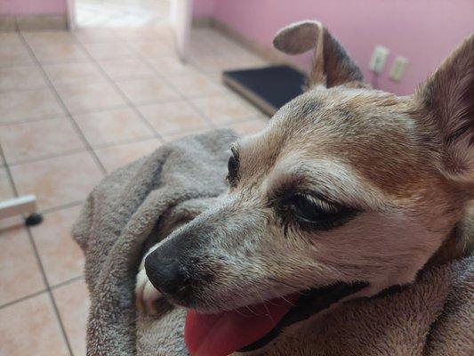 photo of Hermalinda S.