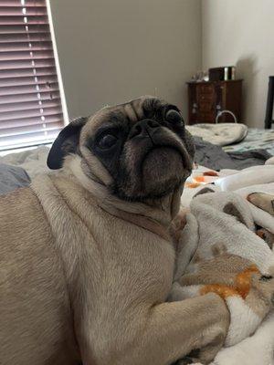 photo of Constance O.