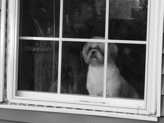 photo of Estefany C.