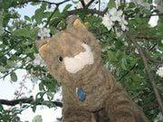 Photo of Gund E.