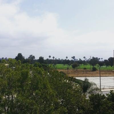 Photo of Ko T.