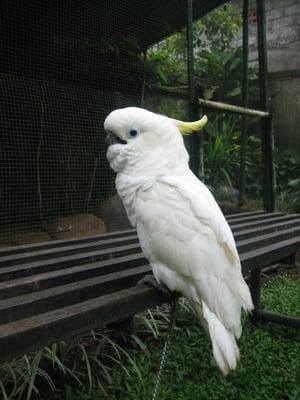 Photo of Dahlia S.