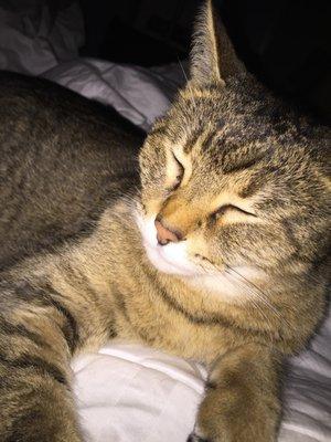 photo of Chantelle K.