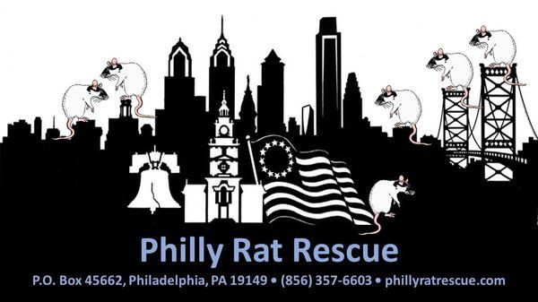 photo of PhillyRatRescue R.