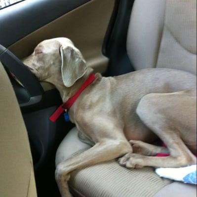 photo of Annmarie W.