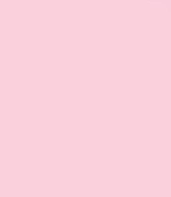 Photo of Bubblegum D.