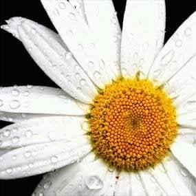 Photo of Michelle M.