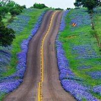 Photo of Jennifer J.