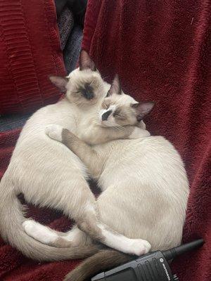 photo of Madeline R.