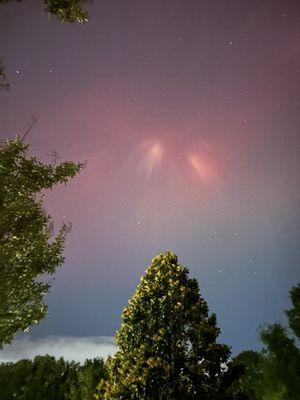 photo of Isabella S.