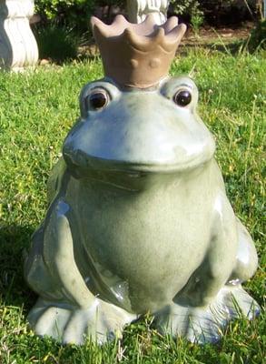 Photo of Debbie S.