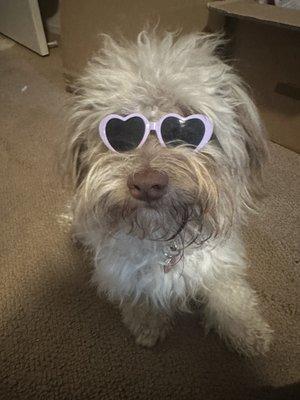 photo of Adrienne D.