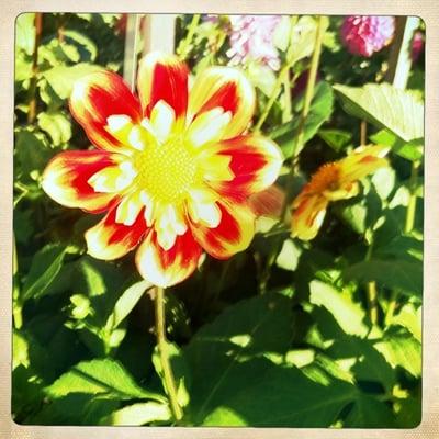 photo of Michelle O.