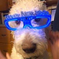 photo of Bernadette E.