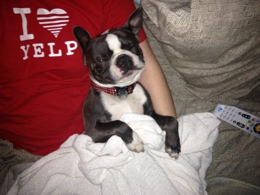 photo of Stephanie H.