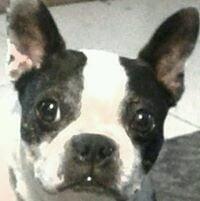 Photo of Sandy C.