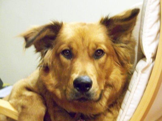 photo of Patricia L.