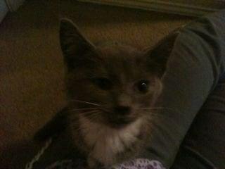 Photo of Jeanette W.