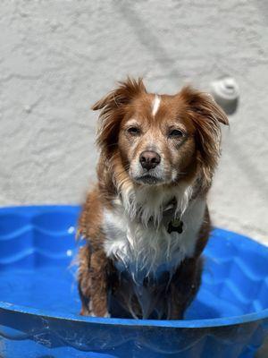 photo of Chandler R.