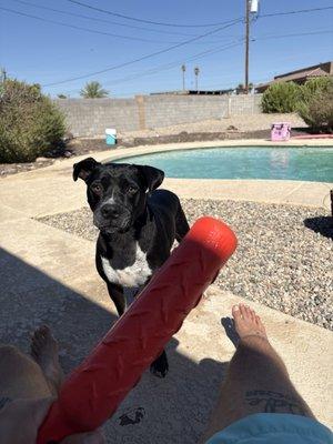 photo of Giovanni F.