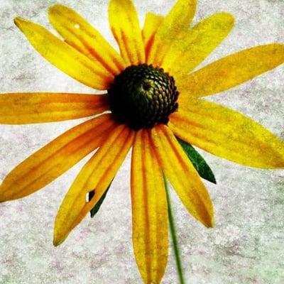 photo of Fernanda G.