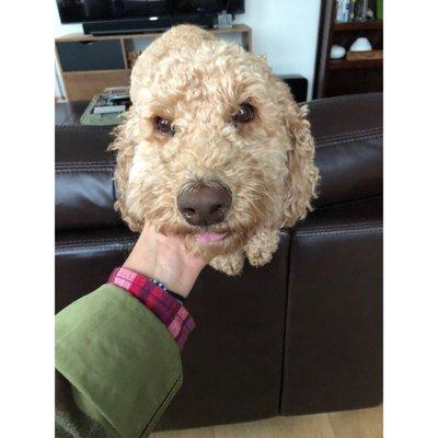 photo of Samantha A.