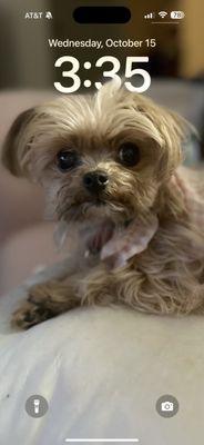 photo of Kimberly B.