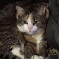 photo of Elizabeth S.