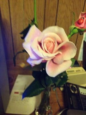 photo of Rosemarie S.