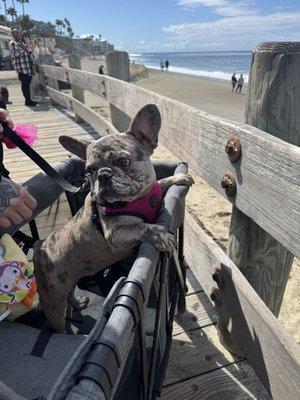 photo of Cheyenne A.