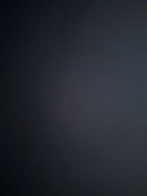 Photo of Sharareh S.
