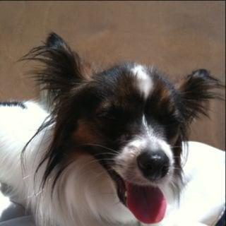 photo of Danielle A.