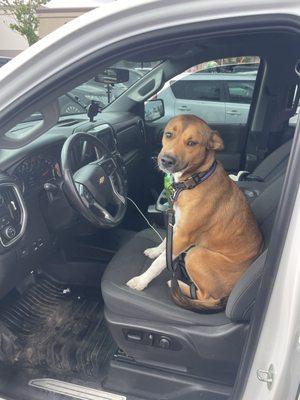 photo of Shelby L N.