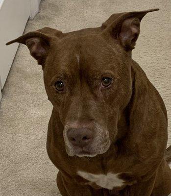 photo of Caroline R.