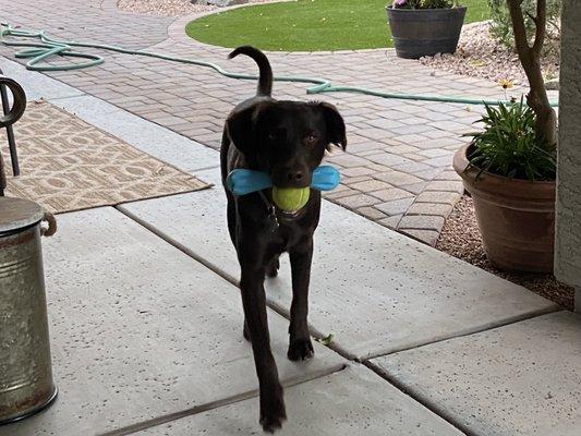 photo of Christine R.