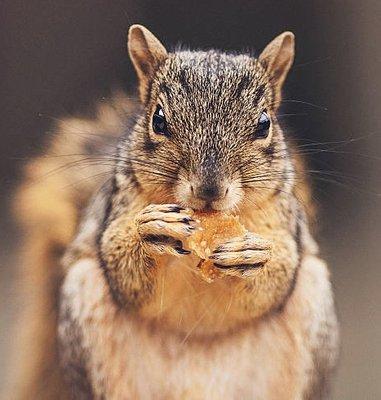 photo of Elisabeth M.