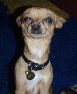 Photo of Mickey B.