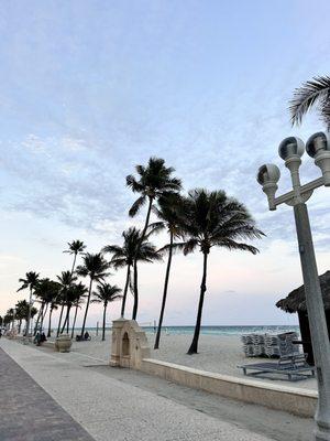 photo of Laura Mf M.