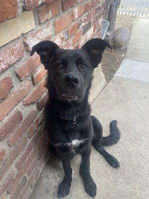 photo of Anonymous B.